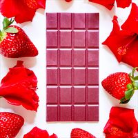 Rrraw Coconut White Chocolate - Red Tart